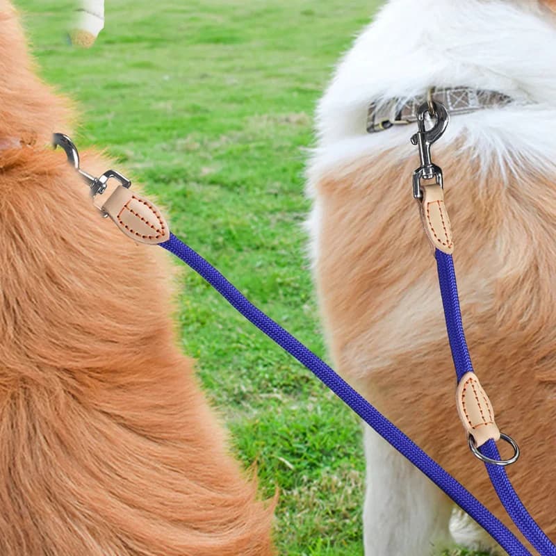mousketons sur laisse double pour chien bleu
