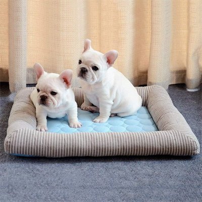 Tapis rafraichissant Chien™ | Paw Cool