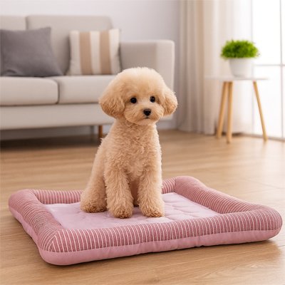 Tapis rafraichissant Chien™ | Paw Cool