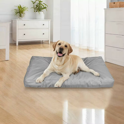 Coussin pour Chien