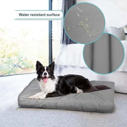 Coussin pour Chien