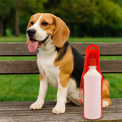 beagle banc parc gourde pour chien portable rouge anti fuite promenade