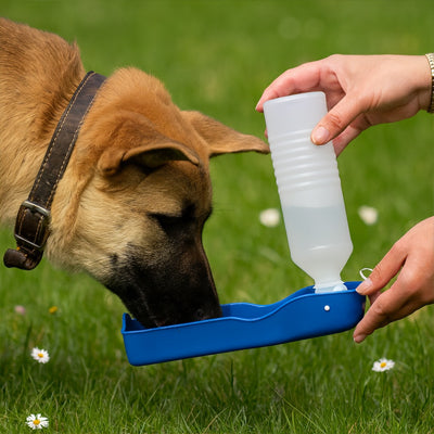 allemand herbe gourde pour chien portable bleu bol integre main