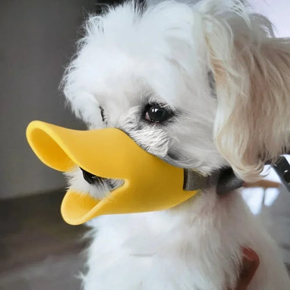 bichon maltais avec museliere chien silicone jaune forme bec canard interieur