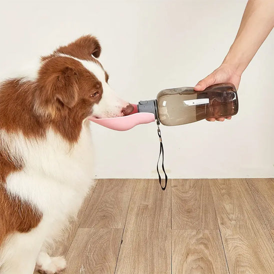 border collie interieur gourde pour chien portable 800ml rose bol pliable main 