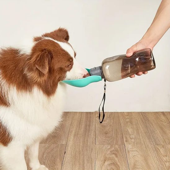 border collie interieur gourde pour chien portable 800ml vert menthe bol pliable main