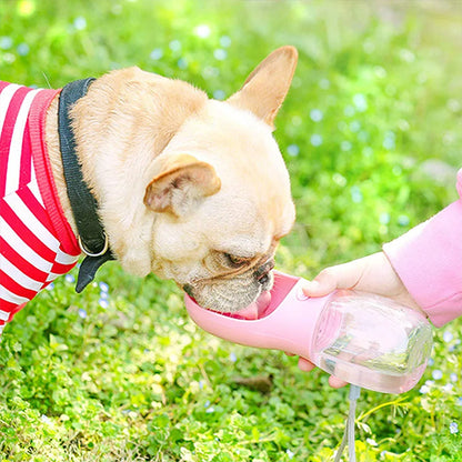 bouledogue francais jardin gourde pour chien portable rose bol eau main enfant