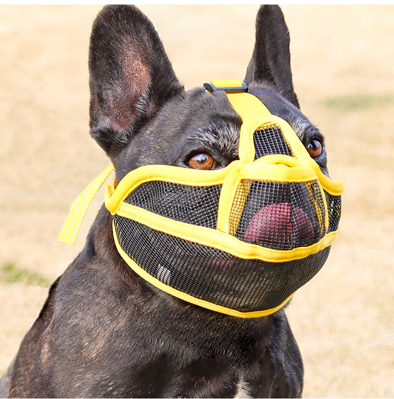 bouledogue francais noir museliere pour chien museaux courts jaune maille respirante parc