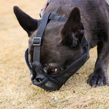 bouledogue francais noir museliere pour chien museaux courts noir maille respirante herbe