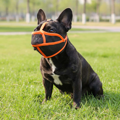 bouledogue francais noir museliere pour chien museaux courts orange maille respirante parc