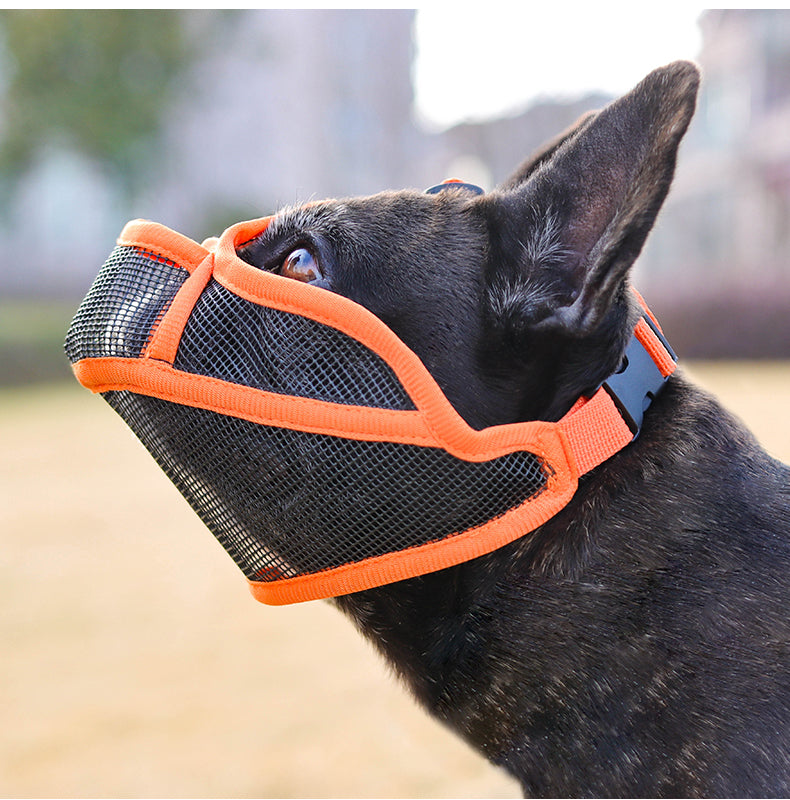 bouledogue francais noir museliere pour chien museaux courts orange maille respirante profil
