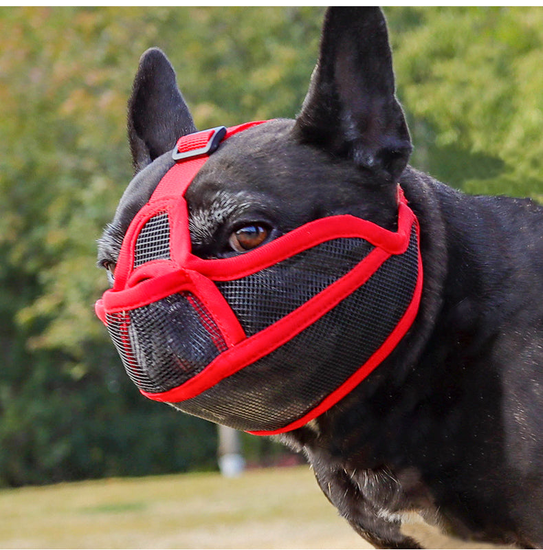 bouledogue francais noir museliere pour chien museaux courts rouge maille respirante parc