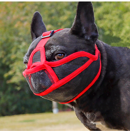 bouledogue francais noir museliere pour chien museaux courts rouge maille respirante parc