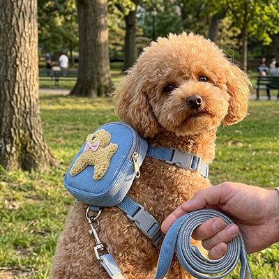 caniche parc harnais pour chien sac a dos bleu jeans