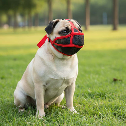 carlin museliere pour chien museaux courts rouge maille respirante herbe