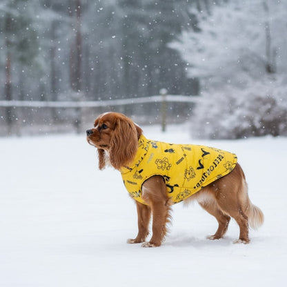 cavalier king charles manteau chien impermeable hiver jaune neige