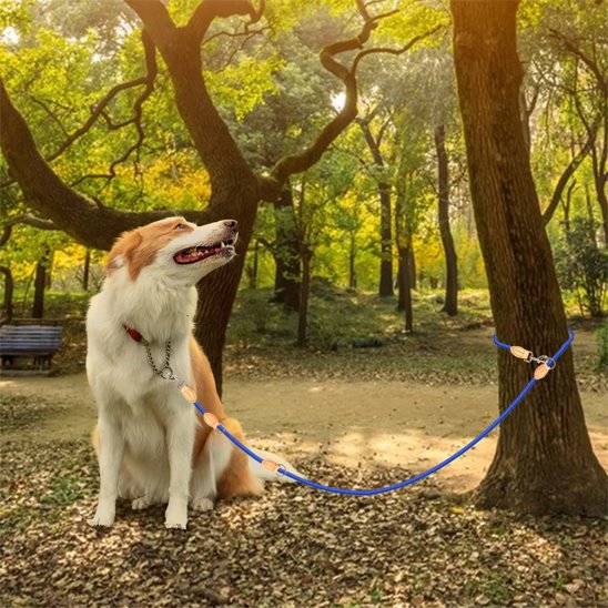 chien attacher arbre avec laisse double pour chien bleu