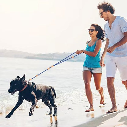 chien noir deux personnes plage avec laisse double pour chien bleu