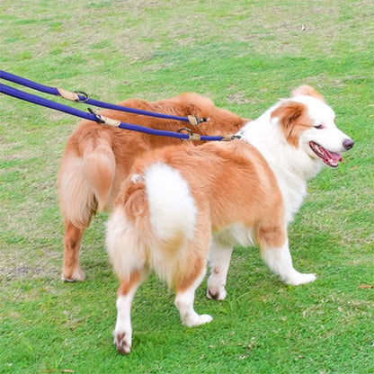 chiens sur pelouse avec laisse double pour chien bleu