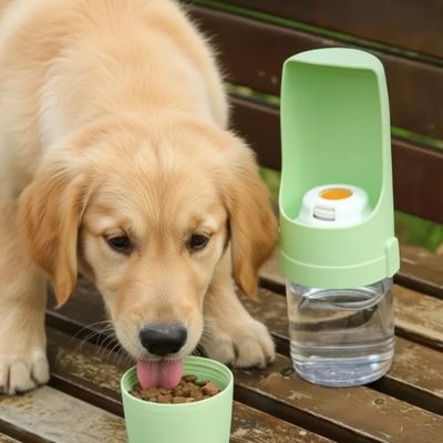 chiot golden retriever banc gourde pour chien vert menthe bol nourriture pliable