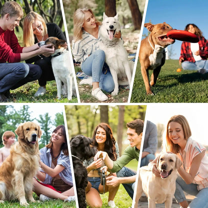 collage proprietaires heureux avec chiens collier dressage chien humain bienveillant