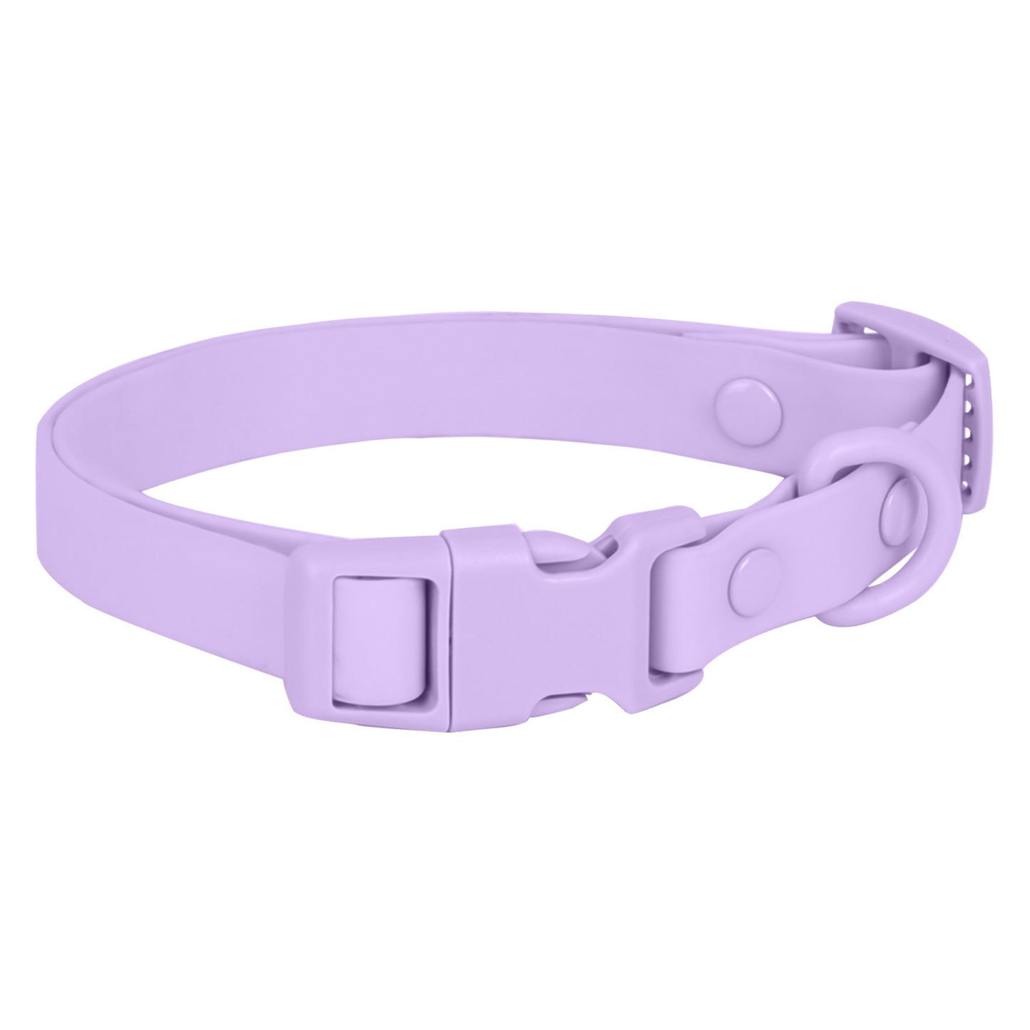 collier chien impermeable violet pvc fond blanc
