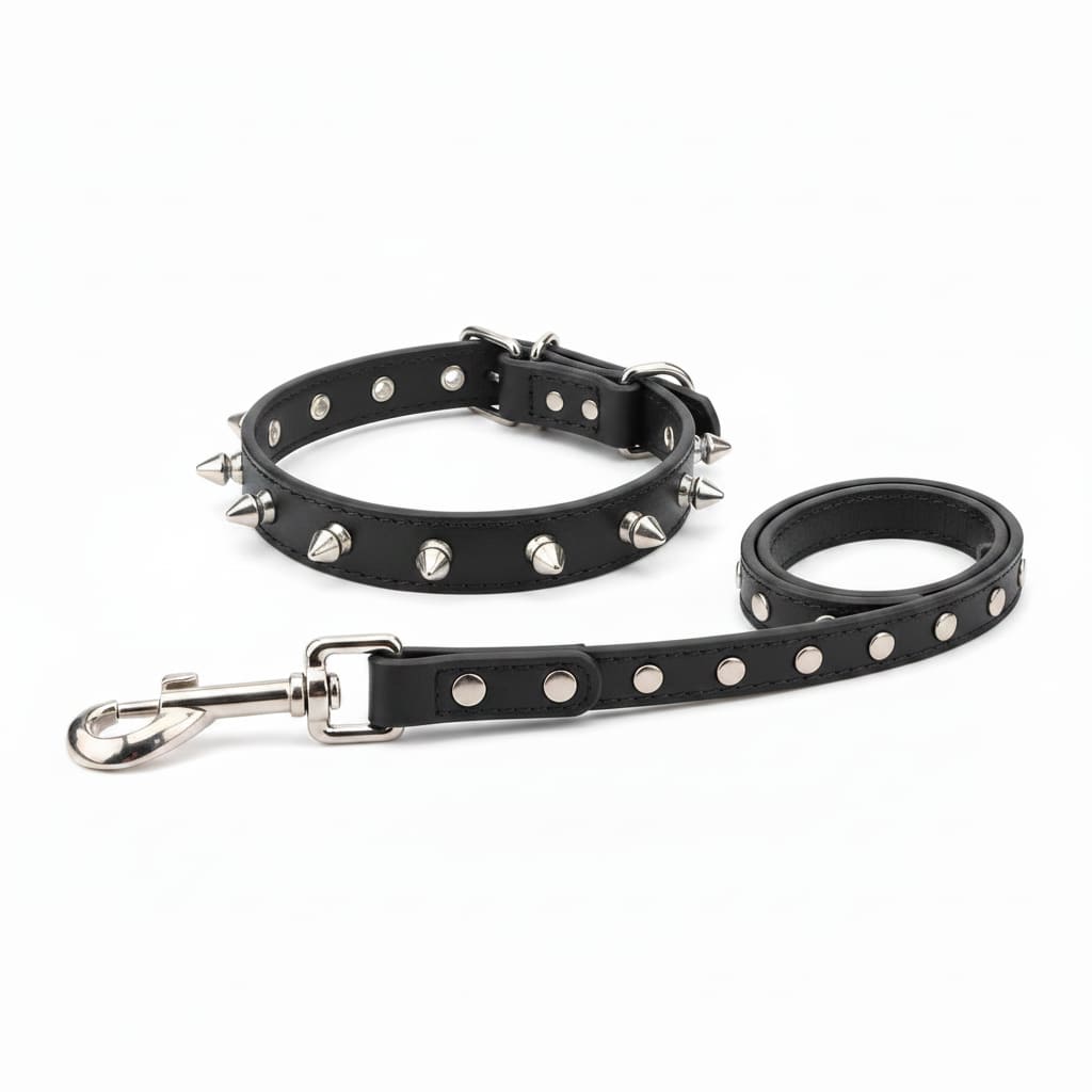 collier laisse chien cloute cuir pu noir fond blanc
