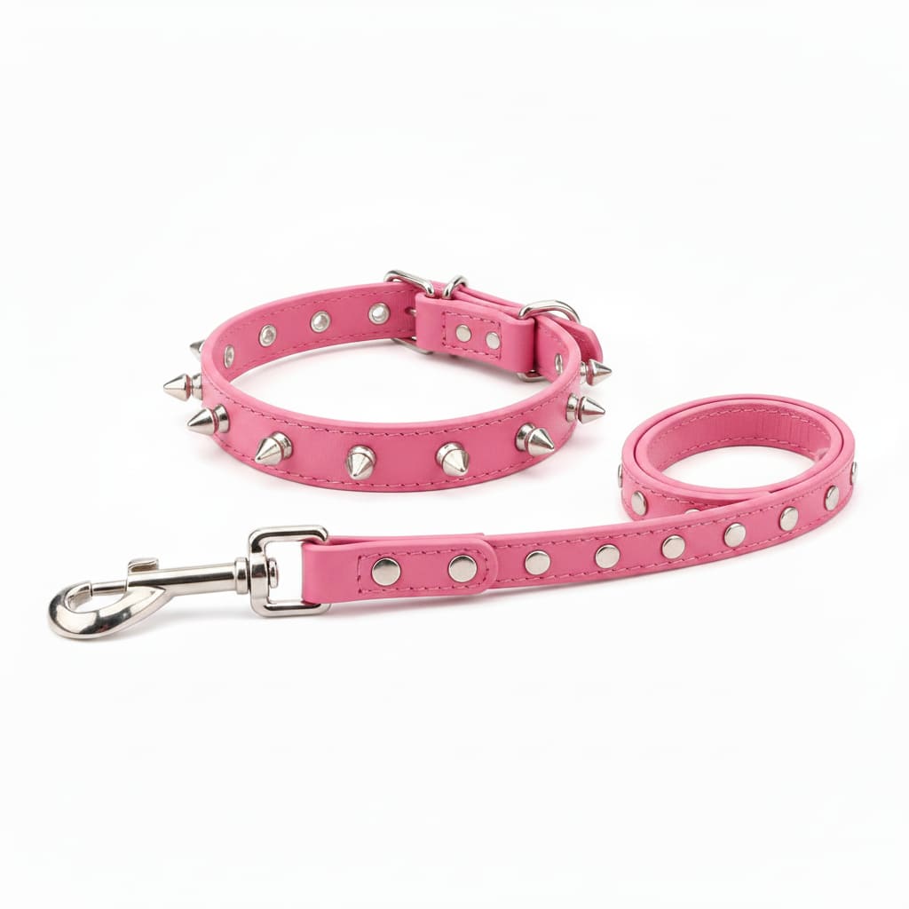 collier laisse chien cloute cuir pu rose fond blanc