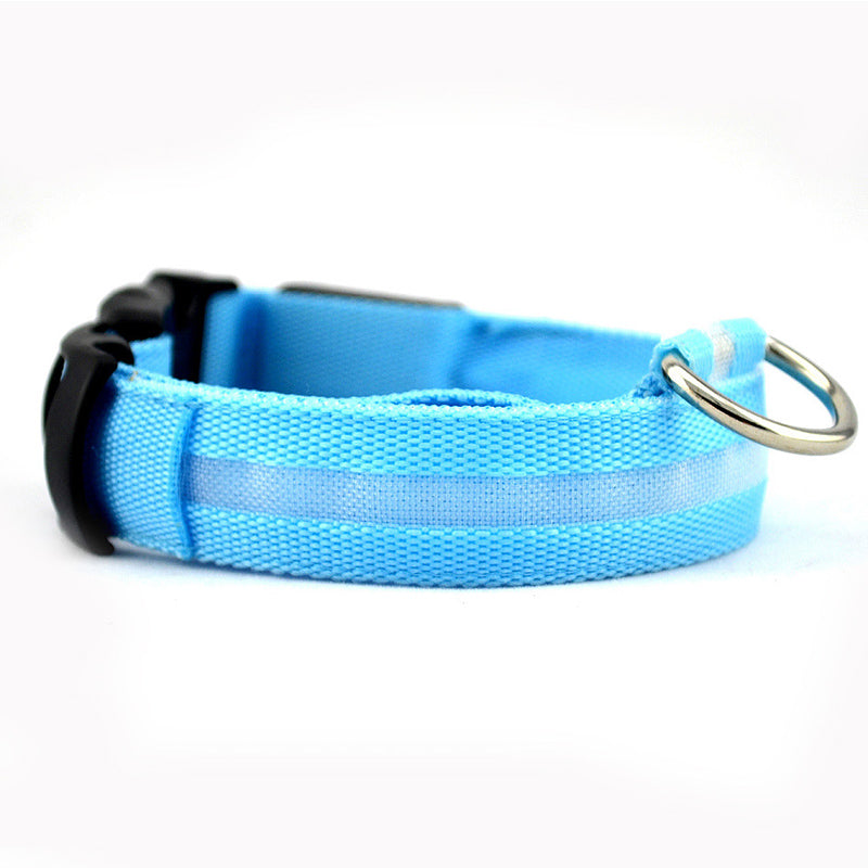 collier lumineux chien led bleu fond blanc