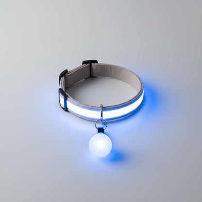 collier lumineux chien led boule bleu fond blanc