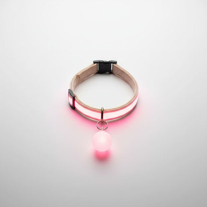 collier lumineux chien led boule rose fond blanc