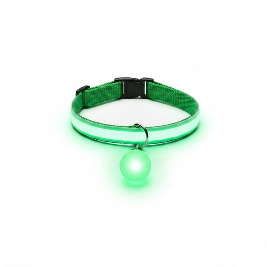 collier lumineux chien led boule vert fond blanc