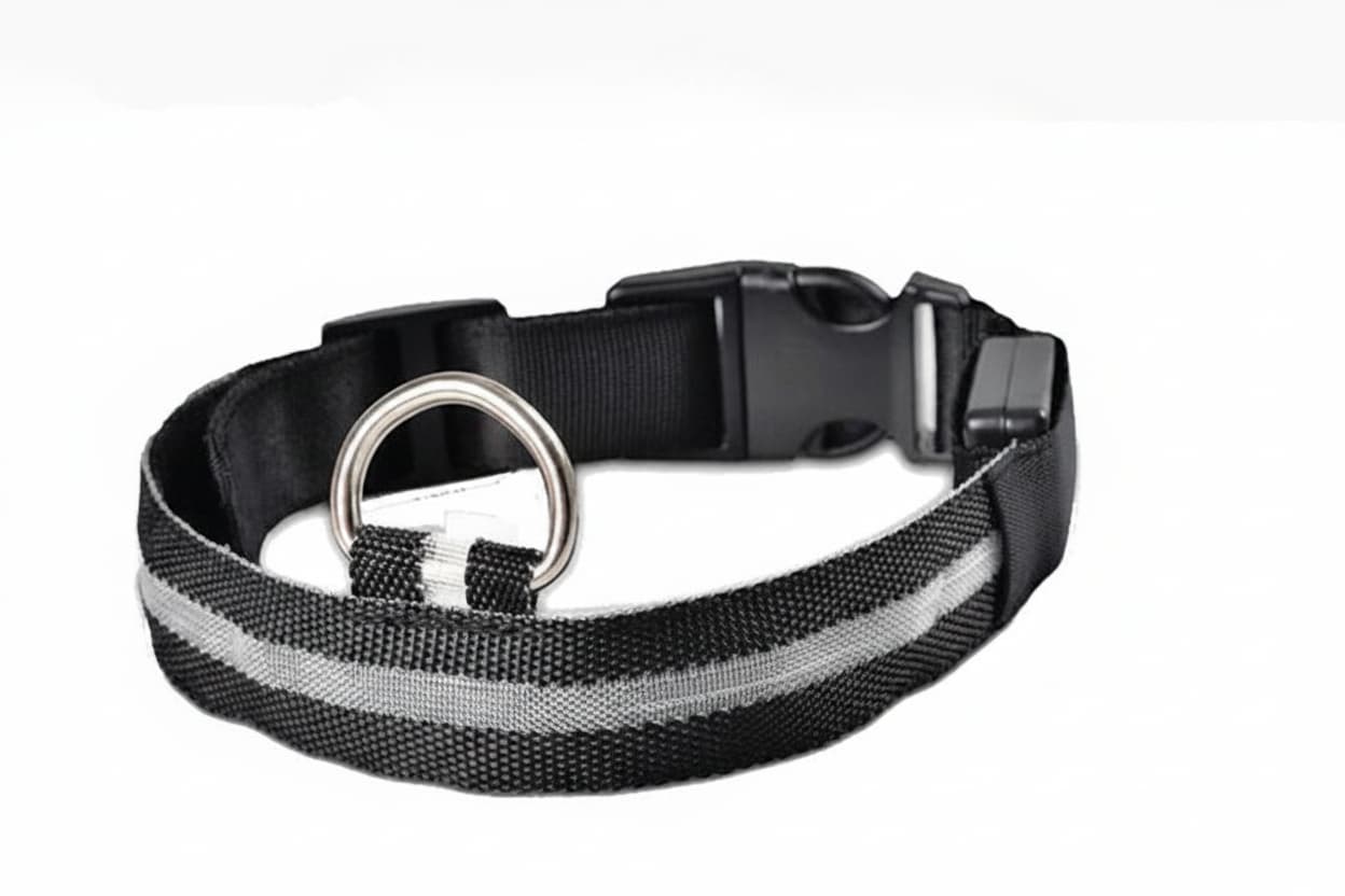 collier lumineux chien led noir fond blanc