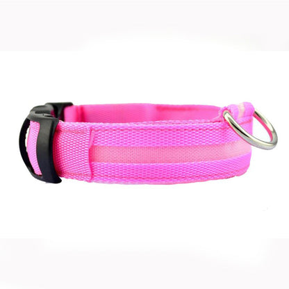 collier lumineux chien led rose fond blanc