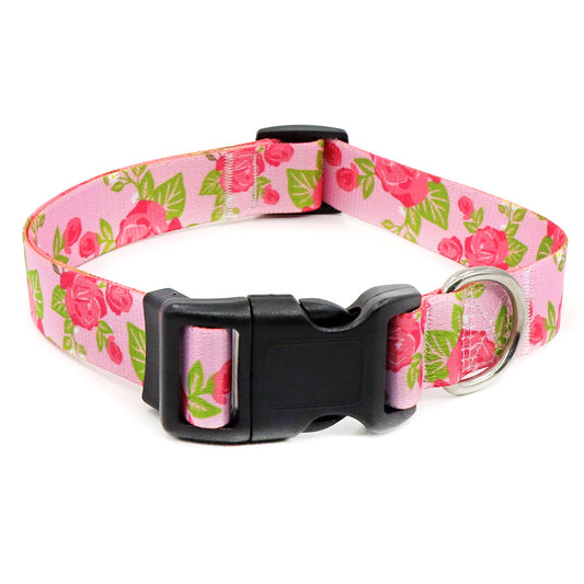 collier pour chien imprime floral rose fond blanc