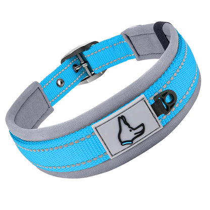 collier pour chien neopren rembourre reflechissant bleu fond blanc