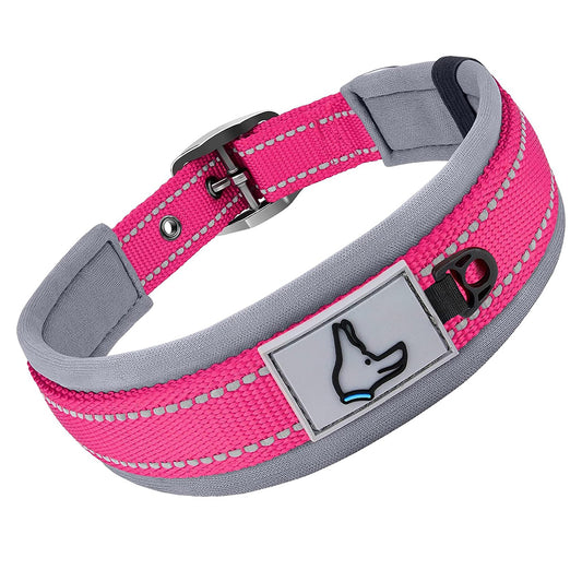collier pour chien neopren rembourre reflechissant rose fond blanc