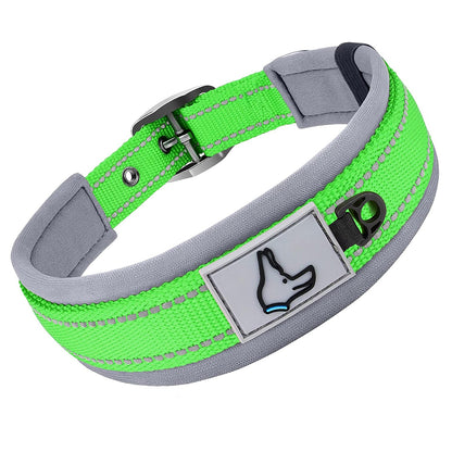 collier pour chien neopren rembourre reflechissant vert fluo fond blanc