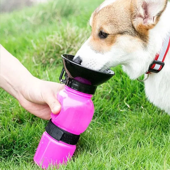 corgi herbe gourde pour chien portable 500ml rose fushia bol eau main