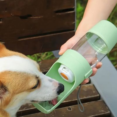 corgi terrasse gourde pour chien verte portable bol integre main
