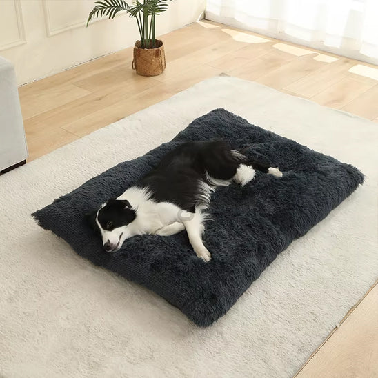 coussin plat chien peluche longue noir border collie