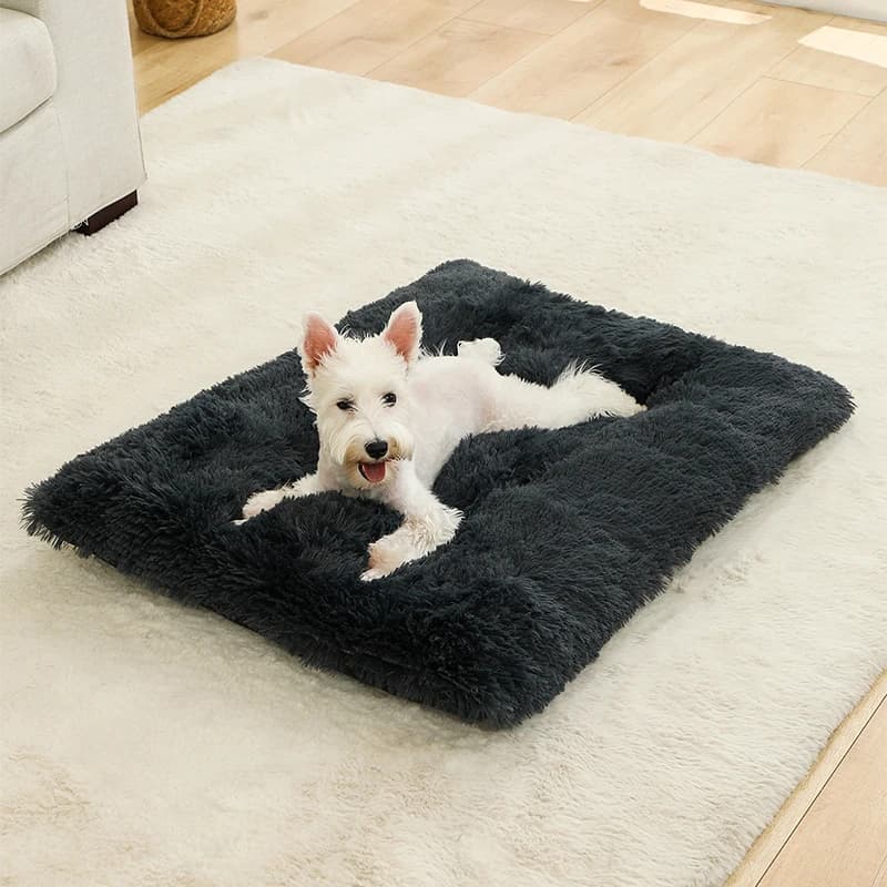 coussin plat chien peluche longue noir westie