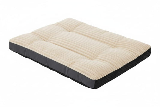 coussin pour chien beige fond blanc velours cotele