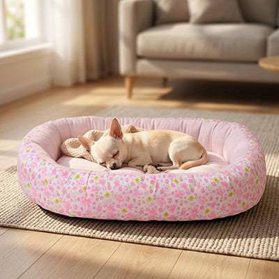 coussin pour chien floral rose chihuahua
