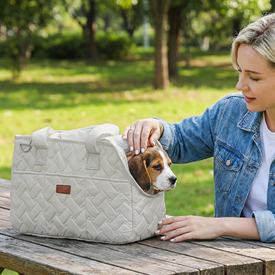 femme avec beagle sac de transport pour chien nylon beige sur table bois parc