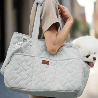 femme avec spitz pomeranian sac de transport pour chien nylon gris en ville