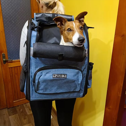 femme de dos jack russell sac de transport pour chien bleu vue laterale