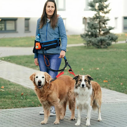 femme manteau bleu tenant chiens avec double laisse pour chien