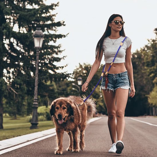 femme marche avec vieux chien portant laisse double pour chien mains libre