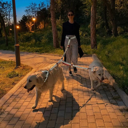 femme marche ses chiens avec double laisse pour chien reflechissant